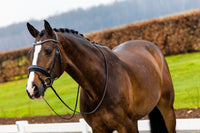 Trust Rotterdam Large Patent Crank Noseband Hoofdstel Trenshoofdstellen - Maddelin Equestrian Trust