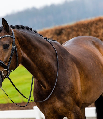 Trust Rotterdam Large Patent Crank Noseband Hoofdstel Trenshoofdstellen - Maddelin Equestrian Trust