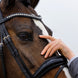 Trust Rotterdam Large Patent Crank Noseband Hoofdstel Trenshoofdstellen - Maddelin Equestrian Trust