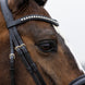 Trust Rotterdam Large Patent Crank Noseband Hoofdstel Trenshoofdstellen - Maddelin Equestrian Trust