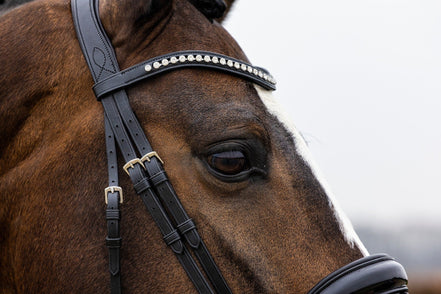 Trust Rotterdam Large Patent Crank Noseband Hoofdstel Trenshoofdstellen - Maddelin Equestrian Trust