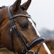 Trust Rotterdam Large Patent Crank Noseband Hoofdstel Trenshoofdstellen - Maddelin Equestrian Trust