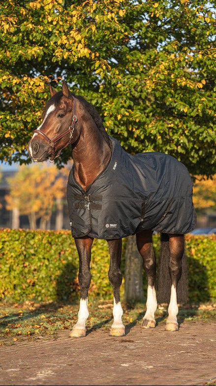 Trust Tetris Outdoordeken 300g Outdoordeken - Maddelin Equestrian Trust