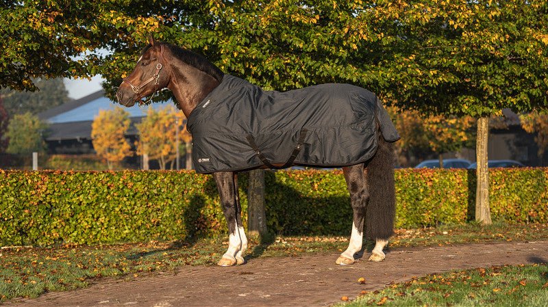 Trust Tetris Outdoordeken 300g Outdoordeken - Maddelin Equestrian Trust
