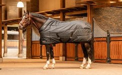 Trust Tetris Staldeken 200g Staldeken - Maddelin Equestrian Trust
