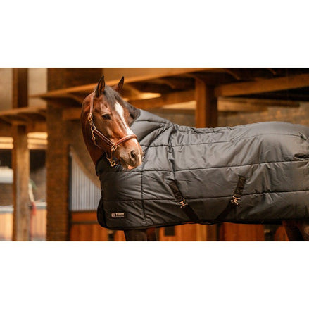 Trust Tetris Staldeken 200g Staldeken - Maddelin Equestrian Trust