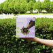 Unika Balls Snoepjes en likstenen - Maddelin Equestrian Unika