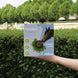 Unika Balls Snoepjes en likstenen - Maddelin Equestrian Unika