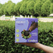 Unika Balls Snoepjes en likstenen - Maddelin Equestrian Unika