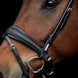 Utzon Edinburgh Hoofdstel Glitter Trenshoofdstellen - Maddelin Equestrian Utzon Equestrian