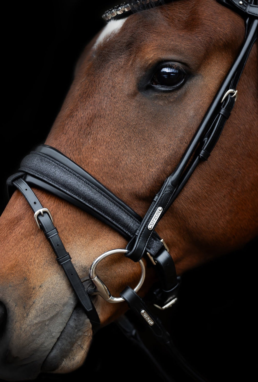 Utzon Edinburgh Hoofdstel Glitter Trenshoofdstellen - Maddelin Equestrian Utzon Equestrian