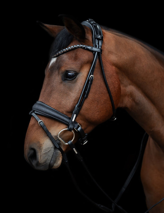 Utzon Edinburgh Hoofdstel Glitter Trenshoofdstellen - Maddelin Equestrian Utzon Equestrian