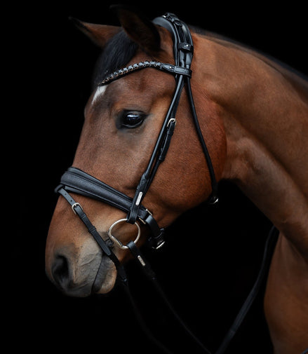 Utzon Edinburgh Hoofdstel Glitter Trenshoofdstellen - Maddelin Equestrian Utzon Equestrian