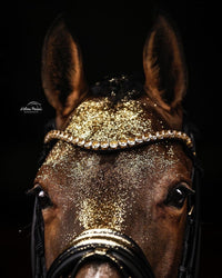 Utzon Empire Frontriem Frontriemen - Maddelin Equestrian Utzon Equestrian