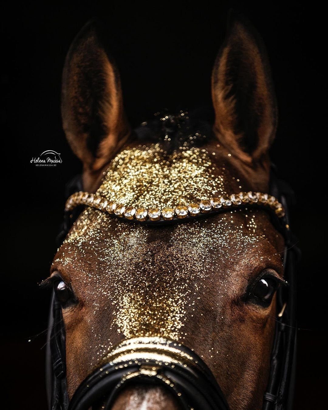 Utzon Empire Frontriem Frontriemen - Maddelin Equestrian Utzon Equestrian