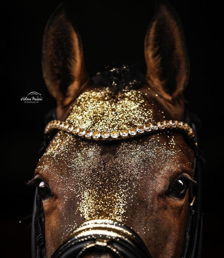 Utzon Empire Frontriem Frontriemen - Maddelin Equestrian Utzon Equestrian