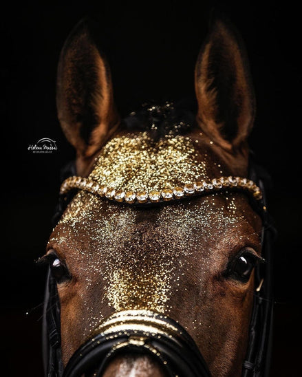 Utzon Empire Frontriem Frontriemen - Maddelin Equestrian Utzon Equestrian
