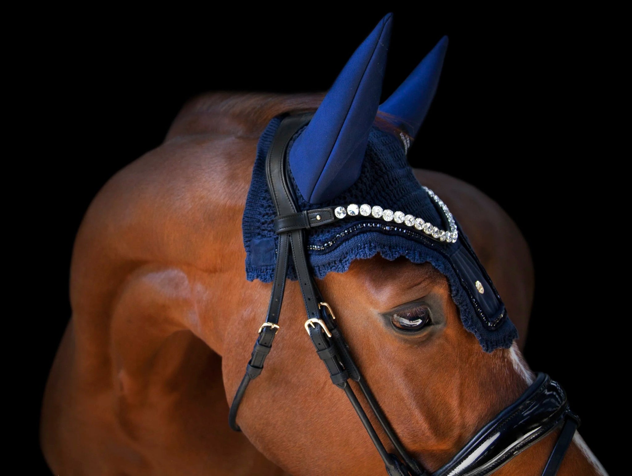 Utzon Empire Frontriem Frontriemen - Maddelin Equestrian Utzon Equestrian