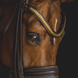 Utzon Frontriem clinchers Frontriemen - Maddelin Equestrian Utzon Equestrian