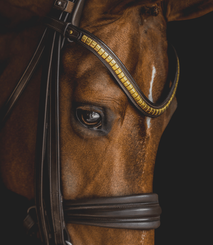 Utzon Frontriem clinchers Frontriemen - Maddelin Equestrian Utzon Equestrian