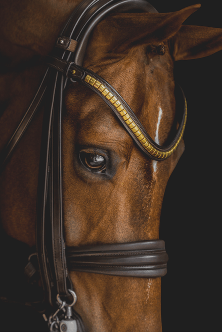 Utzon Frontriem clinchers Frontriemen - Maddelin Equestrian Utzon Equestrian