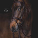 Utzon Grand Prix Hoofdstel Trenshoofdstellen - Maddelin Equestrian Utzon Equestrian