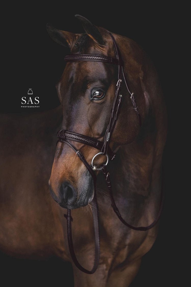 Utzon Grand Prix Hoofdstel Trenshoofdstellen - Maddelin Equestrian Utzon Equestrian