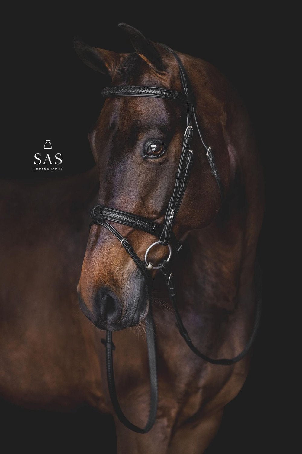 Utzon Grand Prix Hoofdstel Trenshoofdstellen - Maddelin Equestrian Utzon Equestrian