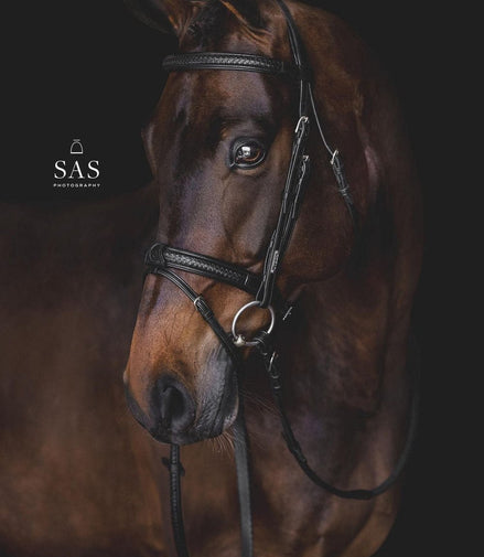 Utzon Grand Prix Hoofdstel Trenshoofdstellen - Maddelin Equestrian Utzon Equestrian