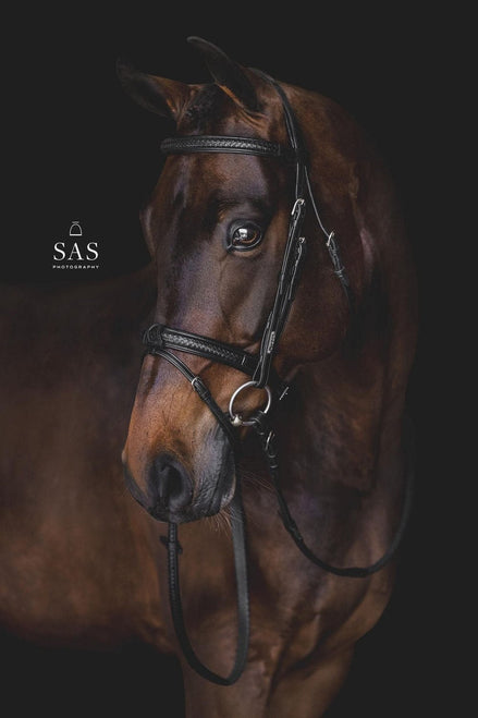 Utzon Grand Prix Hoofdstel Trenshoofdstellen - Maddelin Equestrian Utzon Equestrian