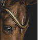 Utzon Olympic Hoofdstel Brass Browband With Clinchers Full Trenshoofdstellen - Maddelin Equestrian Utzon Equestrian
