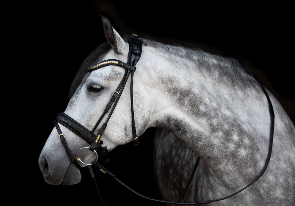 Utzon Olympic Hoofdstel Brass Browband With Clinchers Full Trenshoofdstellen - Maddelin Equestrian Utzon Equestrian