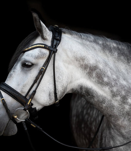 Utzon Olympic Hoofdstel Brass Browband With Clinchers Full Trenshoofdstellen - Maddelin Equestrian Utzon Equestrian