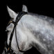 Utzon Olympic Hoofdstel Brass Browband With Clinchers Full Trenshoofdstellen - Maddelin Equestrian Utzon Equestrian