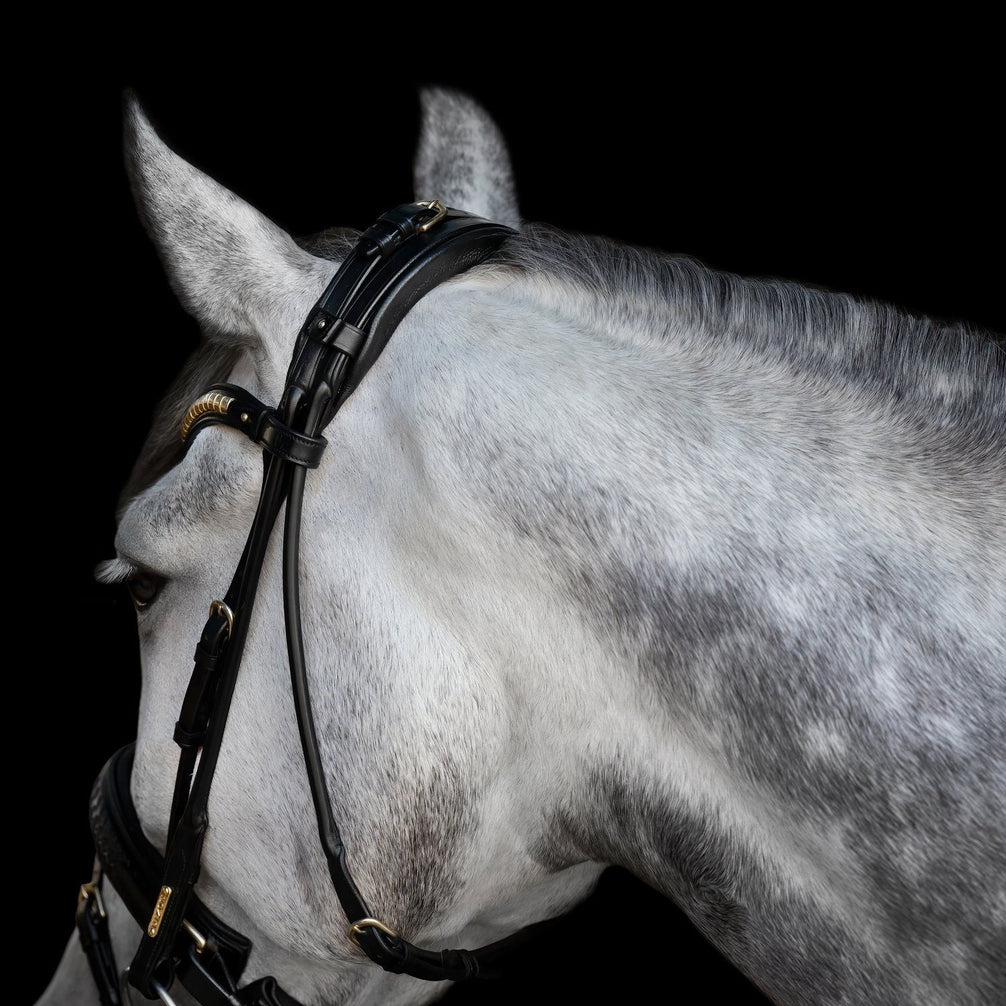 Utzon Olympic Hoofdstel Brass Browband With Clinchers Full Trenshoofdstellen - Maddelin Equestrian Utzon Equestrian