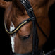 Utzon Olympic Stang & Trens Black Brass Browband With Clinchers Full Stang & Trens - Maddelin Equestrian Utzon Equestrian