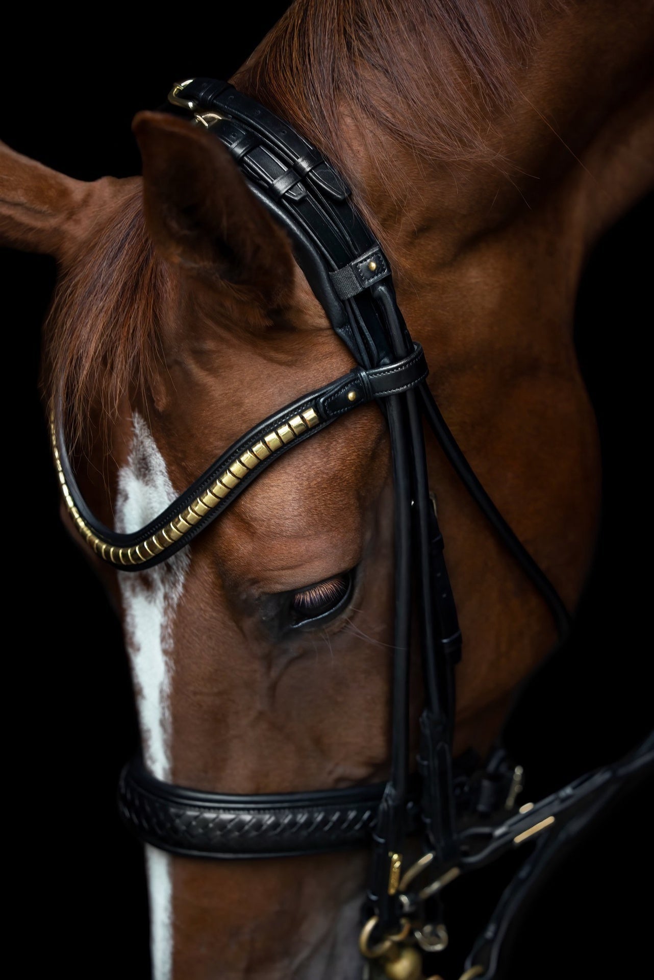 Utzon Olympic Stang & Trens Black Brass Browband With Clinchers Full Stang & Trens - Maddelin Equestrian Utzon Equestrian