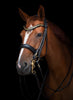 Utzon Olympic Stang & Trens Black Brass Browband With Clinchers Full Stang & Trens - Maddelin Equestrian Utzon Equestrian