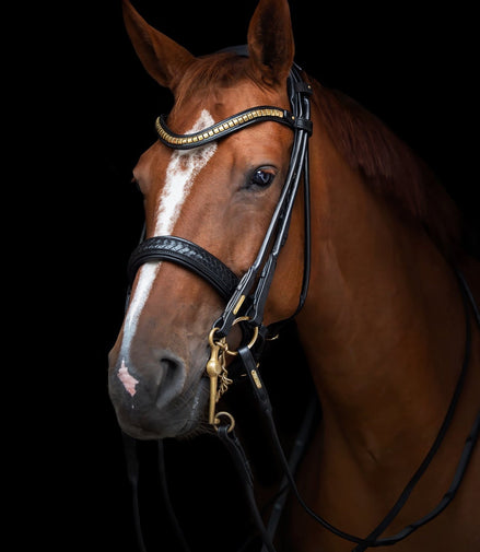 Utzon Olympic Stang & Trens Black Brass Browband With Clinchers Full Stang & Trens - Maddelin Equestrian Utzon Equestrian
