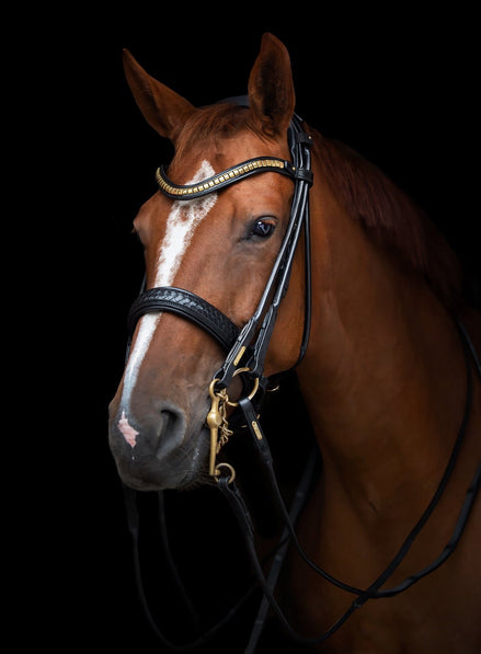 Utzon Olympic Stang & Trens Black Brass Browband With Clinchers Full Stang & Trens - Maddelin Equestrian Utzon Equestrian