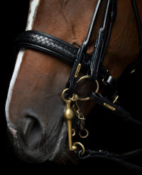 Utzon Olympic Stang & Trens Black Brass Browband With Clinchers Full Stang & Trens - Maddelin Equestrian Utzon Equestrian