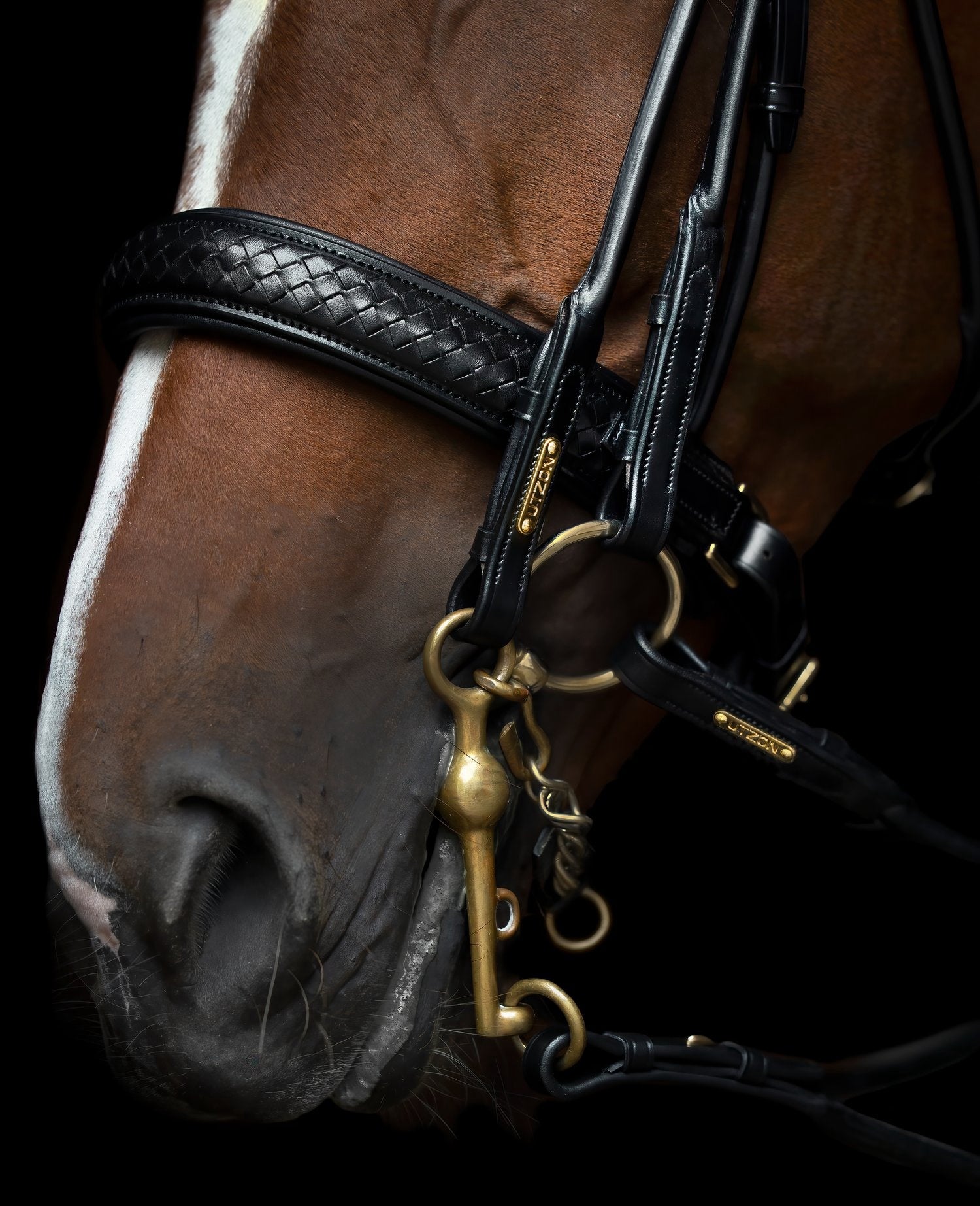 Utzon Olympic Stang & Trens Black Brass Browband With Clinchers Full Stang & Trens - Maddelin Equestrian Utzon Equestrian
