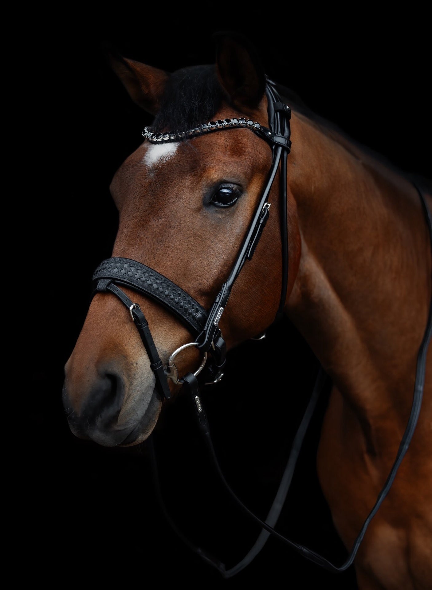Utzon Olympic Stang & Trens Crystal Black Silver With Empire Browband Clear Full Stang & Trens - Maddelin Equestrian
