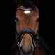 Utzon Olympic Stang & Trens Crystal Black Silver With Empire Browband Clear Full Stang & Trens - Maddelin Equestrian