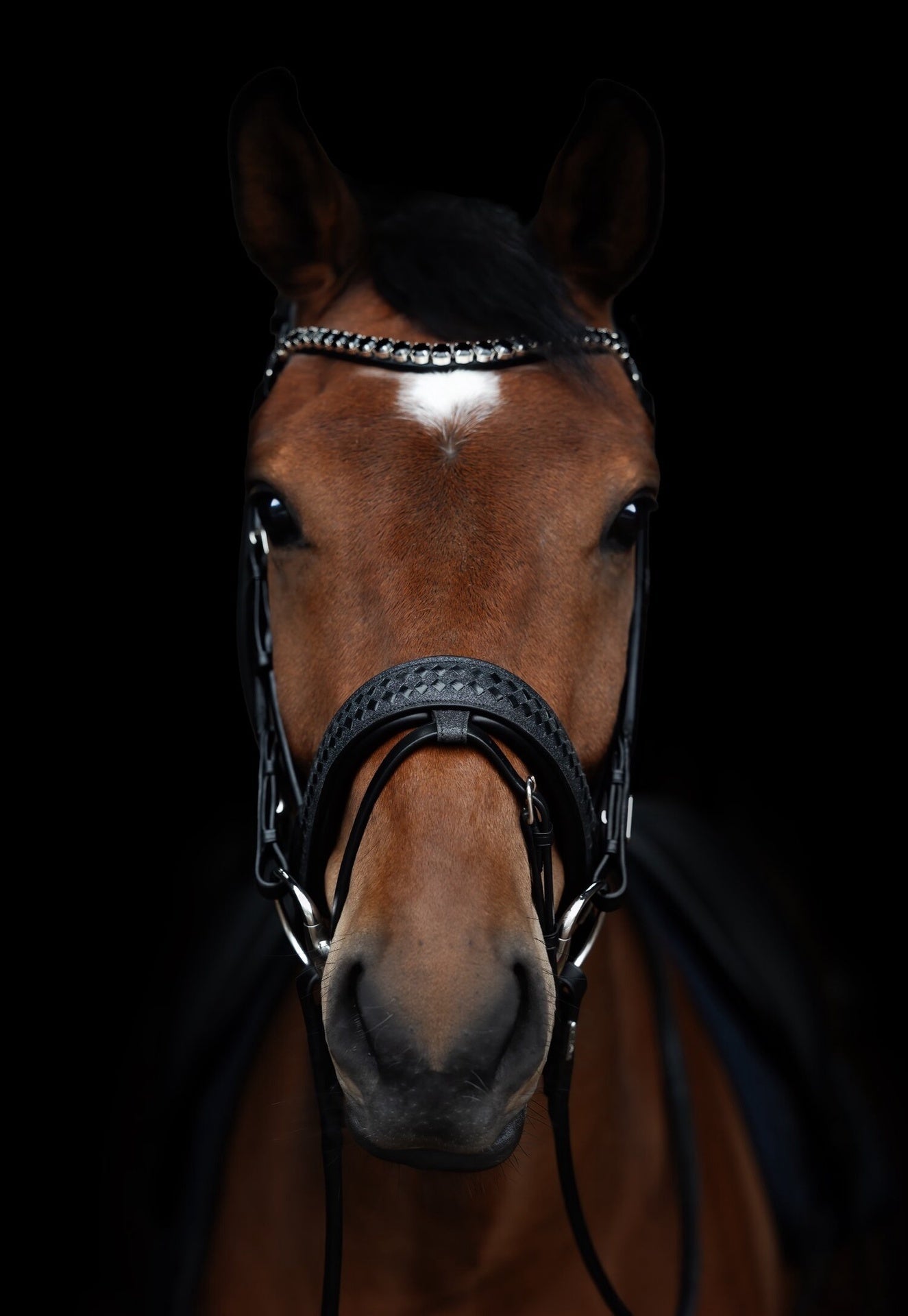 Utzon Olympic Stang & Trens Crystal Black Silver With Empire Browband Clear Full Stang & Trens - Maddelin Equestrian