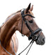 Utzon Olympic Trenshoofdstel + Empire Frontriem Clear Trenshoofdstellen - Maddelin Equestrian Utzon Equestrian