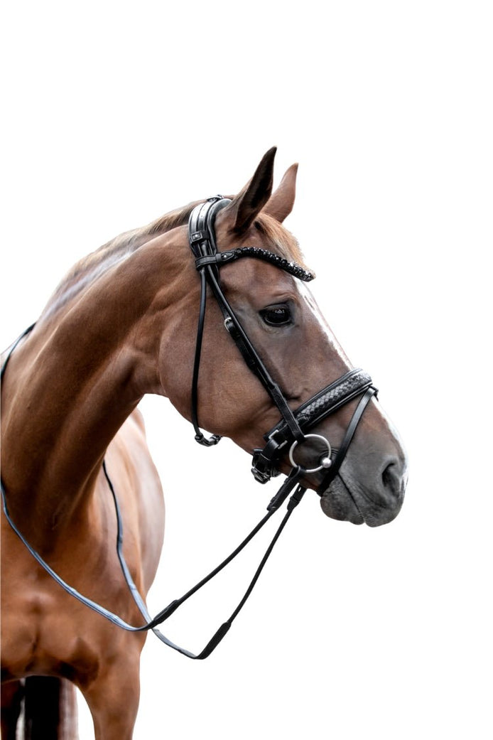 Utzon Olympic Trenshoofdstel + Empire Frontriem Clear Trenshoofdstellen - Maddelin Equestrian Utzon Equestrian