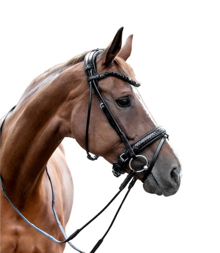 Utzon Olympic Trenshoofdstel + Empire Frontriem Clear Trenshoofdstellen - Maddelin Equestrian Utzon Equestrian