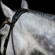 Utzon Olympic Trenshoofdstel + Empire Frontriem Clear Trenshoofdstellen - Maddelin Equestrian Utzon Equestrian