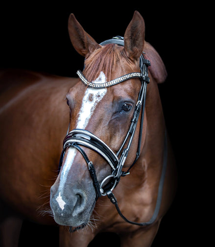 Utzon Miami Trenshoofdstel